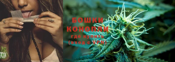 дживик Беломорск