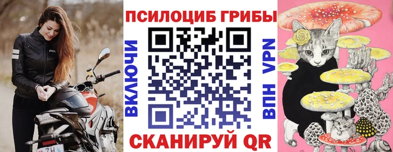 Псилоцибиновые грибы Cubensis  Пыть-Ях 